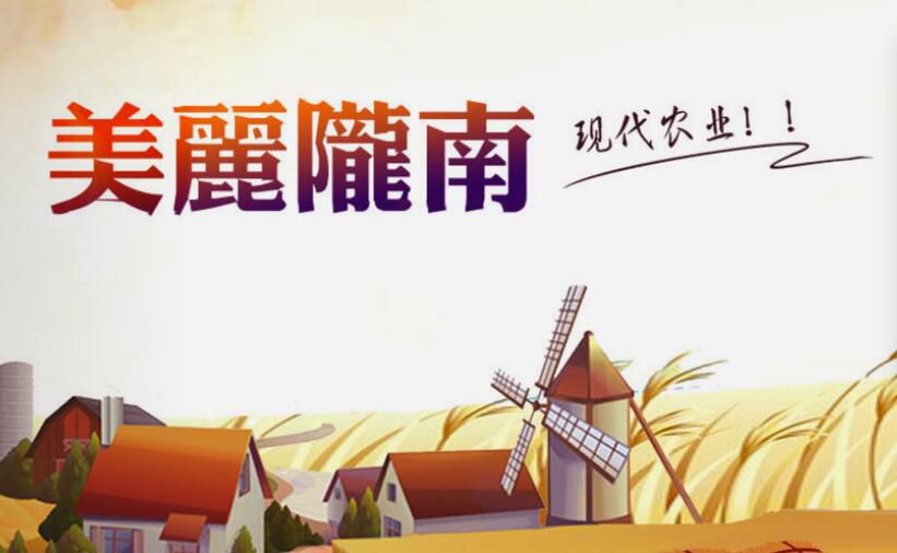 陇南康县太石乡“陇南市乡村大数据”，带你体验别样的生活！